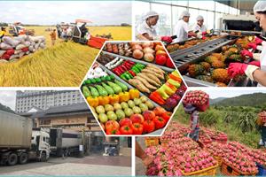 Kích cầu và tăng giá trị xuất khẩu các mặt hàng nông sản