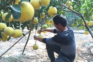 Bài 2: Hạnh phúc vì “tôi là người nông dân”