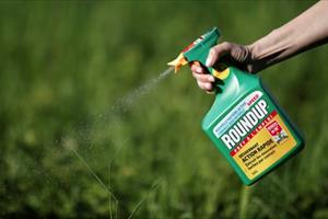 Thuốc diệt cỏ glyphosate được EU phê duyệt gia hạn sử dụng 10 năm