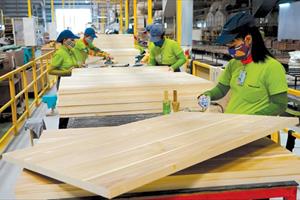 Cơ hội để doanh nghiệp ngành gỗ tự làm mới mình