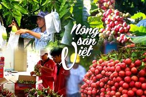 Thương hiệu nông sản Việt đang ở đâu trên thị trường quốc tế?
