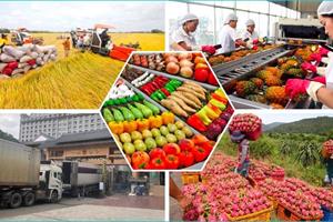 Để nông sản Việt ngày càng có chỗ đứng trên thị trường