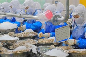 Doanh nghiệp tìm cách tăng sức cạnh tranh cho tôm Việt