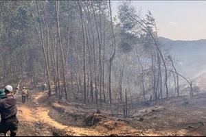 Liên tiếp xảy ra cháy rừng ở Quảng Trị