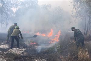 Hỏa hoạn làm thiệt hại 10 ha rừng phòng hộ ở Quảng Trị