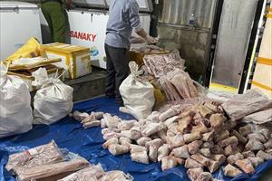 Phát hiện hơn 1 tấn thịt động vật và trứng gà không rõ nguồn gốc ở Huế