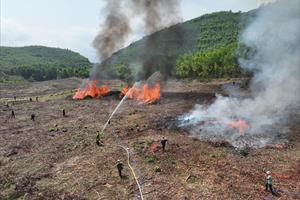 Hơn 100 kiểm lâm và người dân tham gia diễn tập phòng cháy chữa cháy rừng