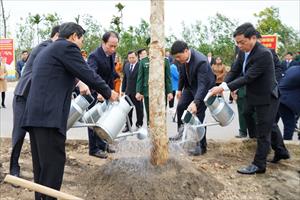 Các địa phương ở Hải Phòng, Quảng Ninh đồng loạt phát động Tết trồng cây Xuân Quý Mão