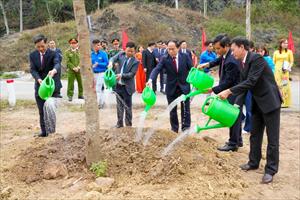 Hải Phòng, Quảng Ninh tổ chức Tết trồng cây đời đời nhớ ơn Bác Hồ