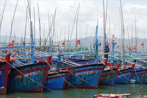 Bộ Nông nghiệp và PTNT yêu cầu xử lý nghiêm tàu cá mất kết nối quá 10 ngày trên biển