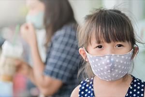 Ô nhiễm bụi mịn trong các thành phố tại Việt Nam sẽ là hệ lụy lâu dài