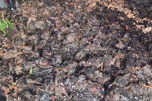 Bắc Giang: Cháy tại khu chăn nuôi, thiệt hại hơn 4.000 gia cầm