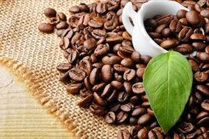 Xuất khẩu cà phê vượt mốc 4 tỷ USD