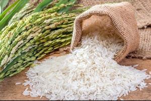 Bộ Công Thương yêu cầu tăng cường xuất khẩu và bình ổn thị trường gạo