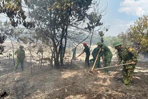Thừa Thiên-Huế: Cháy rừng phòng hộ tại huyện Phong Điền