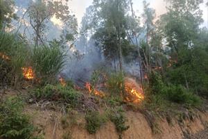 Cháy rừng ở Nghệ An do đốt vàng mã