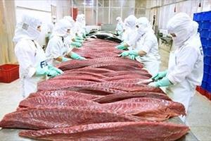 Xuất khẩu cá ngừ sang Mỹ và EU tăng trưởng mạnh trong tháng 8