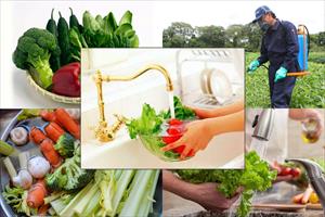 80% thông báo SPS liên quan đến thị trường xuất khẩu nông sản của Việt Nam