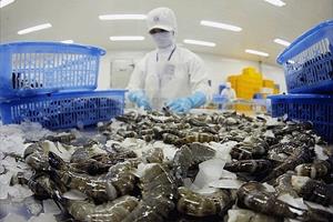 Doanh nghiệp thủy sản lo ngại về chỉ tiêu kháng sinh Doxycycline khi xuất khẩu thủy sản sang Nhật