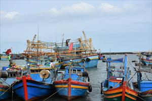 Phú Yên xử lý nghiêm các tàu cá 