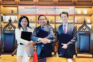 Tỉnh Quảng Trị và T&T Group hợp tác chuyển đổi năng lượng - tăng trưởng xanh với Tập đoàn SK