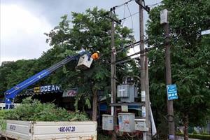 Công ty Điện lực Đắk Nông: Đảm bảo cung cấp điện để phòng, chống dịch hiệu quả