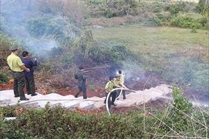 Đắk Lắk: Đội Kiểm lâm cơ động số 3 diễn tập chữa cháy rừng