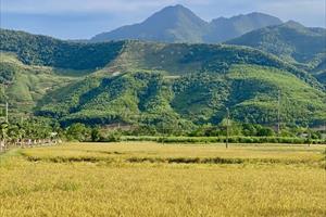 Cần định hướng phát triển nông thôn mới ở Hoà Vang