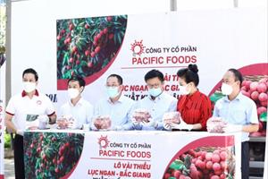 Bắc Giang lên kế hoạch tổ chức 4 sự kiện lớn xúc tiến tiêu thụ vải thiều