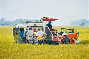 Ngành Nông nghiệp Thừa Thiên - Huế: Sẵn sàng phương án đảm bảo sản xuất không bị “đứt gãy”