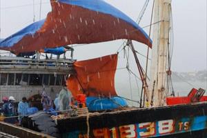 Ngư dân đưa tàu thuyền vào trú tránh bão số 9 ở Quảng Nam