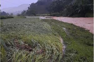 Lào Cai: Mưa lớn gây ngập úng, sạt lở 