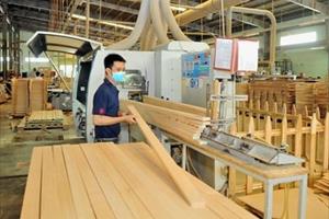 Quy định quản lý gỗ nhập khẩu, xuất khẩu