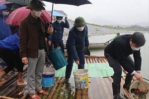Nghệ An thả 1,3 tấn cá xuống lưu vực sông Lam