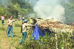 Tuyên Quang: Chủ động tập huấn, phòng cháy chữa cháy rừng