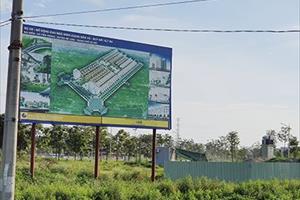 Hàng nghìn hecta đất dự án ở Mê Linh (Hà Nội) bỏ hoang: Cần xử lý nghiêm và nhanh