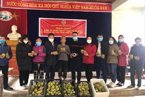 Hội Nông dân TP. Lào Cai hỗ trợ 1 tấn cây giống cho bà con ở Phìn Hồ