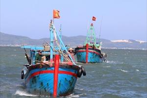 Phê duyệt Đề án Phòng, chống khai thác hải sản bất hợp pháp, không báo cáo và không theo quy định đến năm 2025