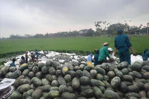 Hà Tĩnh: Lật xe chở dưa, được người dân thu gom và mua giúp 15 tấn