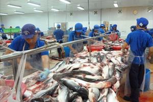 Xuất khẩu cá tra sang Canada tăng gần 70%