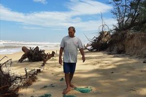 Hơn 1.500 hộ dân tại Thừa Thiên - Huế bị ảnh hưởng bởi sạt lở đường bờ biển