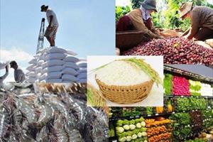 Tận dụng EVFTA để đẩy mạnh xuất khẩu nông, lâm, thủy sản