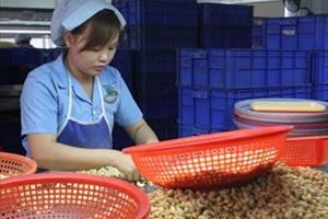 Nhiều doanh nghiệp ở Đắk Nông được hỗ trợ do ảnh hưởng dịch Covid-19