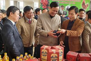 Bắc Giang: Có 95 sản phẩm đạt tiêu chuẩn OCOP cấp tỉnh