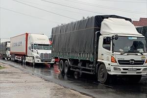 Khánh Hoà: Hàng nghìn xe nối đuôi nhau dừng hơn chục km để tránh vào tâm bão