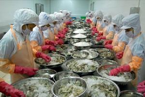  Trung Quốc cảnh báo nhiều lô hàng thủy sản của Việt Nam 