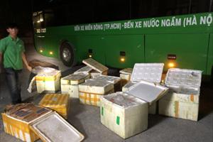 Nghệ An: Bắt giữ xe khách chở gần 1 tấn thực phẩm đã bốc mùi hôi thối
