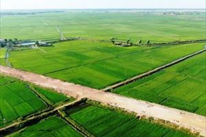 Phát triển cánh đồng mẫu lúa vùng trọng điểm tại huyện Phú Lộc