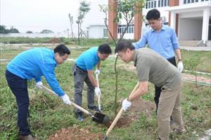 Chi đoàn Cục Quản lý chất lượng NLS&TS hưởng ứng Tết trồng cây