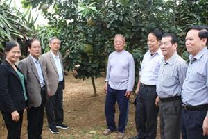Dự thảo Báo cáo tổng kết hoạt động Hội Làm vườn Việt Nam nhiệm kỳ VI và phương hướng nhiện vụ nhiệm kỳ VII